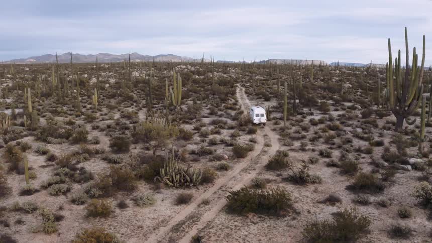 A white car driving in a desert with cacti and undergrowth on a sandy road
