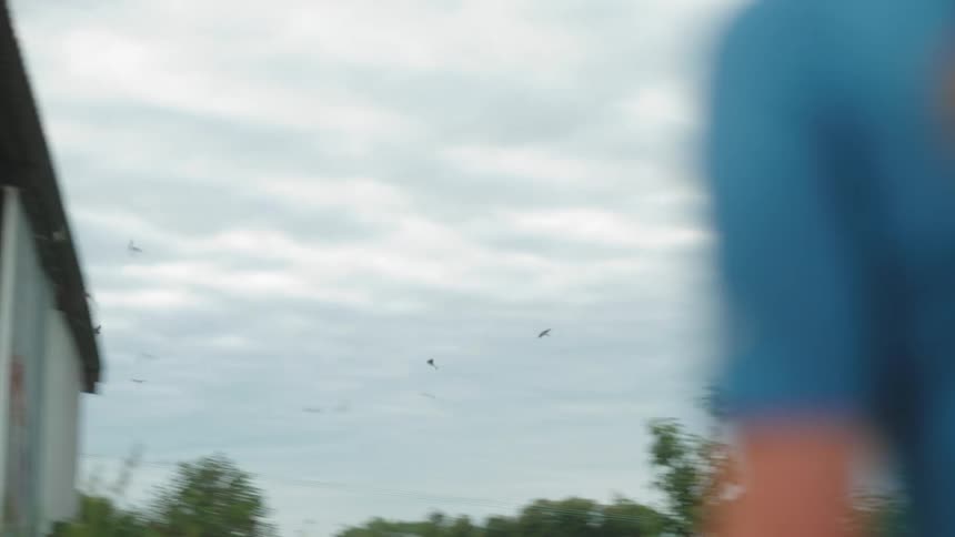 A woman watches birds fly around the sky