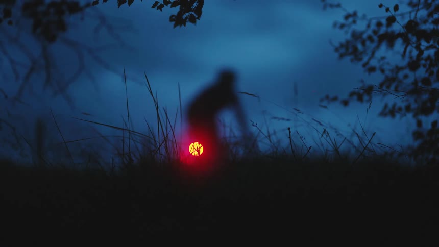 A person rides a bicycle past a grassy area at night