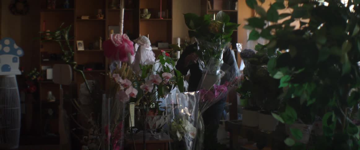 Men unwrapping a plant arrangement in a flower shop
