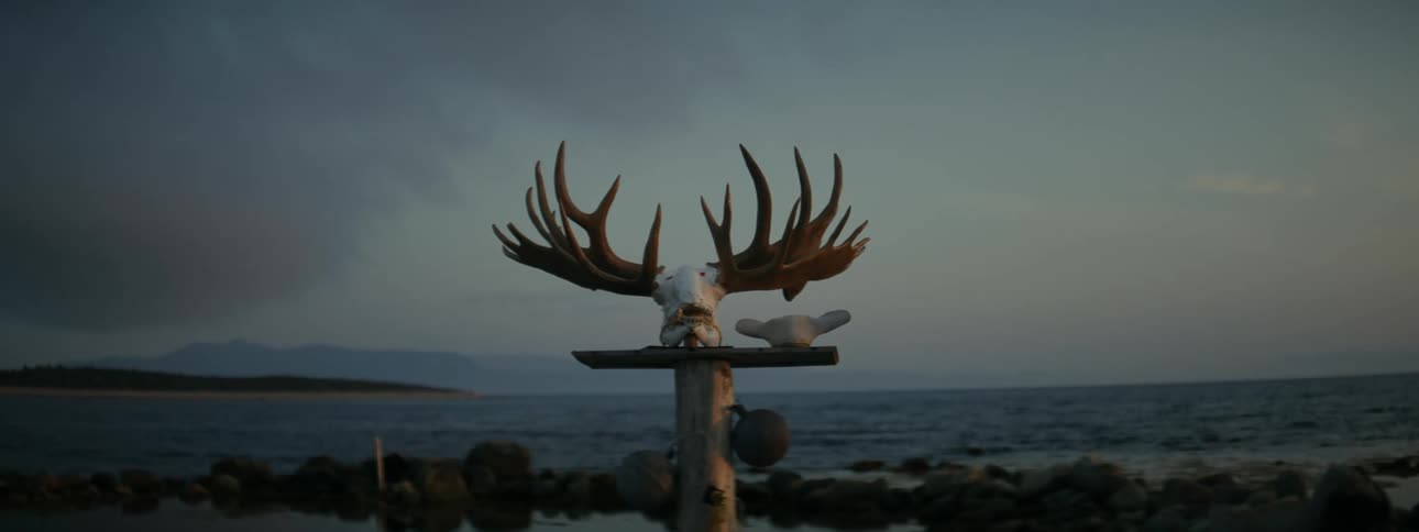 Pair of large branched horns mounted on wood at the edge of a sea