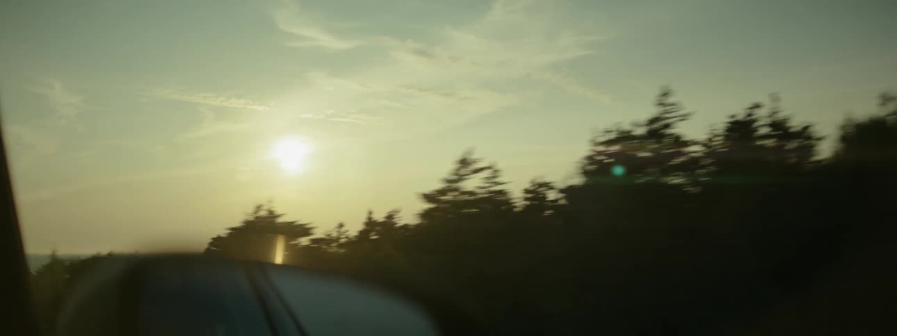 View from inside a vehicle capturing the outside landscape through the window during sunset with trees in silhouette and the sea in the background