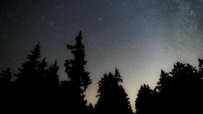 Clear night sky rotates above silhouetted conifer trees
