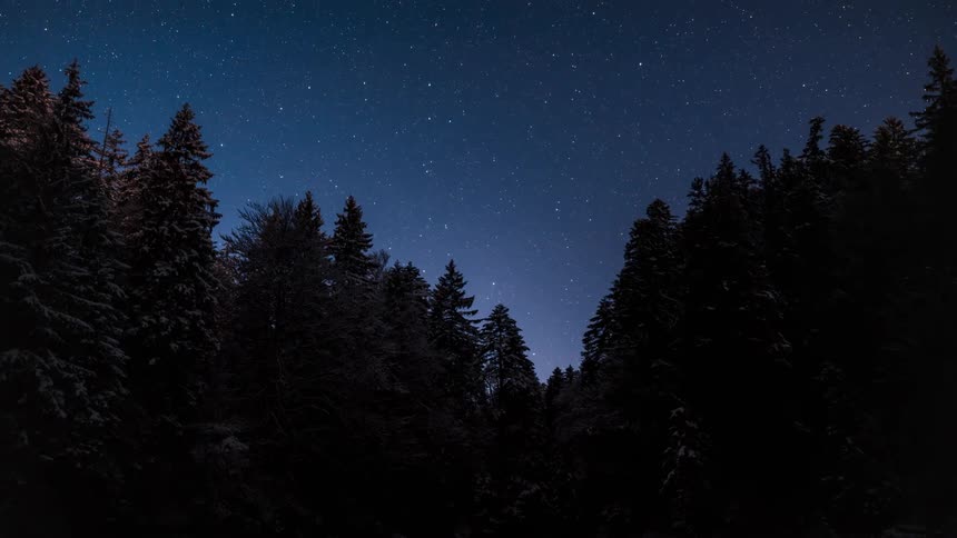 Silhouette of a forest with conifers and the sky darkening and becoming starry with a comet passing by