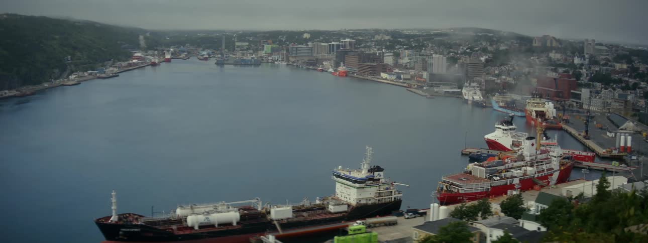 Panoramic view of a port with several ships docked and urban buildings in the background