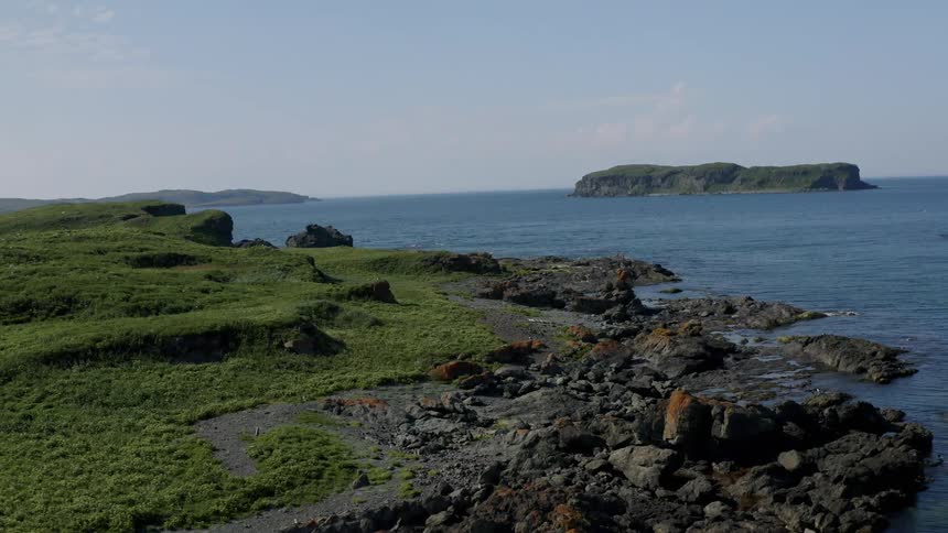 Aerial view of a rocky coastal landscape with grass covered slopes next to the ocean