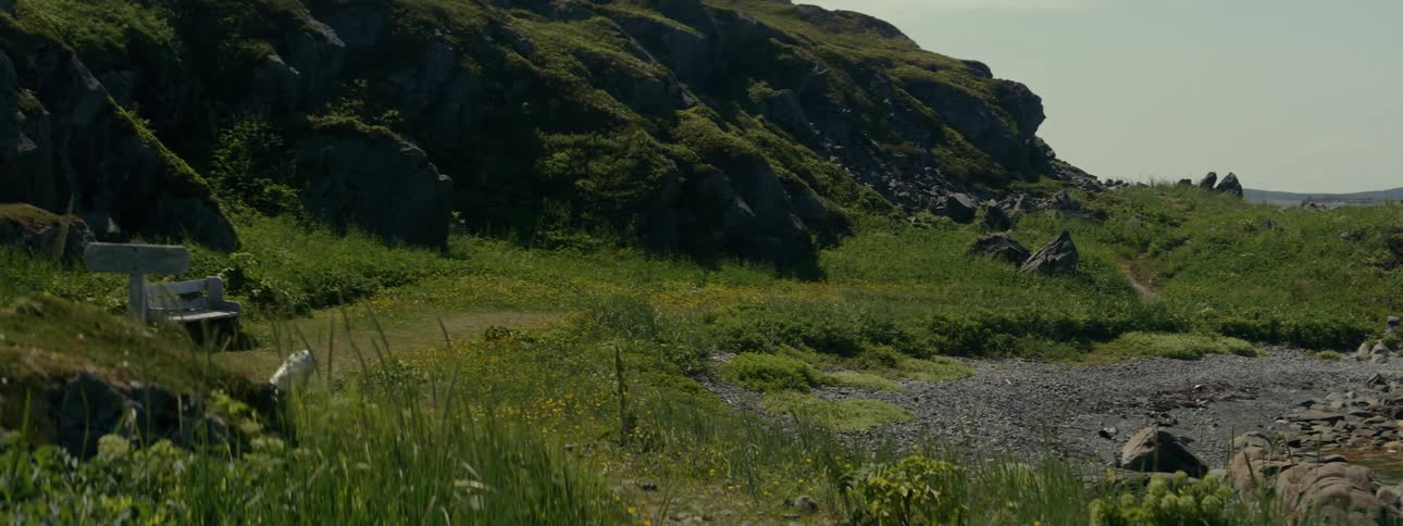 The wind blows the grass by the hills