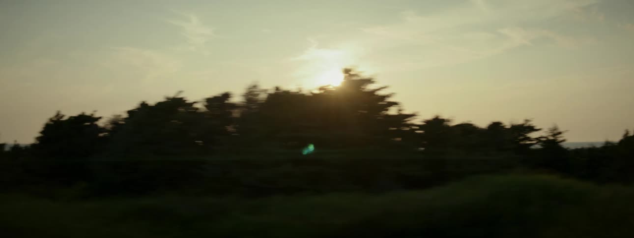 Trees and bushes by the sea with the sun in the background