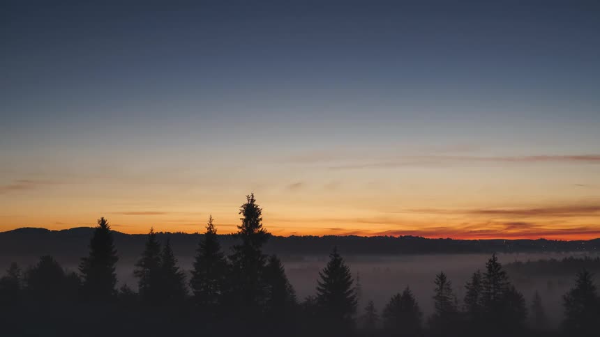 Time lapse landscape of conifers on a dawning day with orange sky