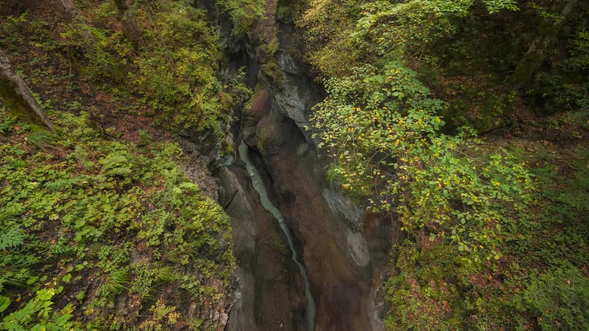 Top down aerial view of a winding river through a dense green forest