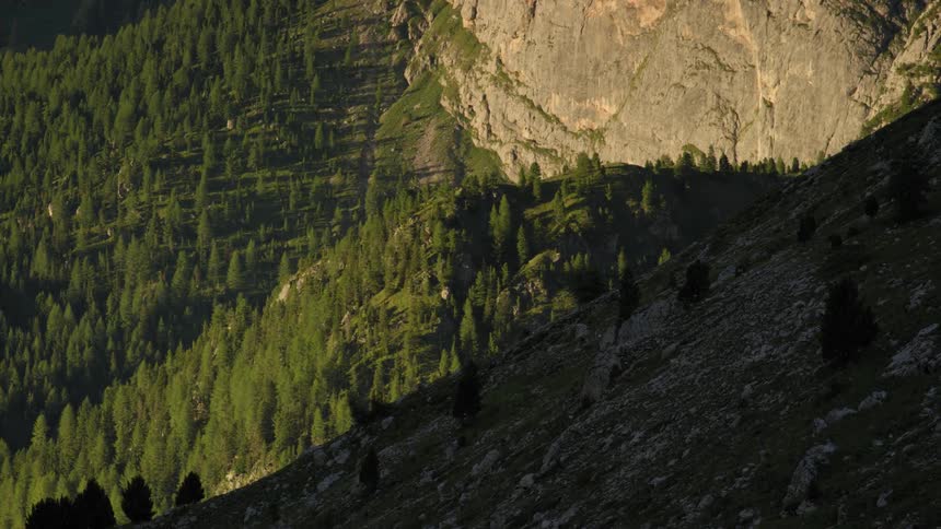 Mountains landscape with conifers and the sun illuminating