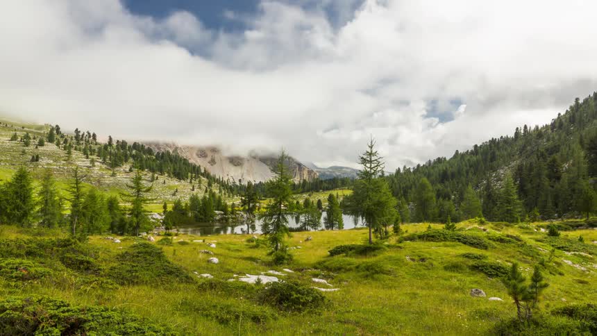 A landscape of a lake with several pine trees around it and in the sky there are several white clouds passing quickly