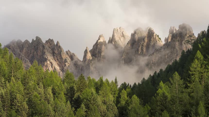 Cloudy day with fog in the middle of a forest next to sharp and rocky mountains