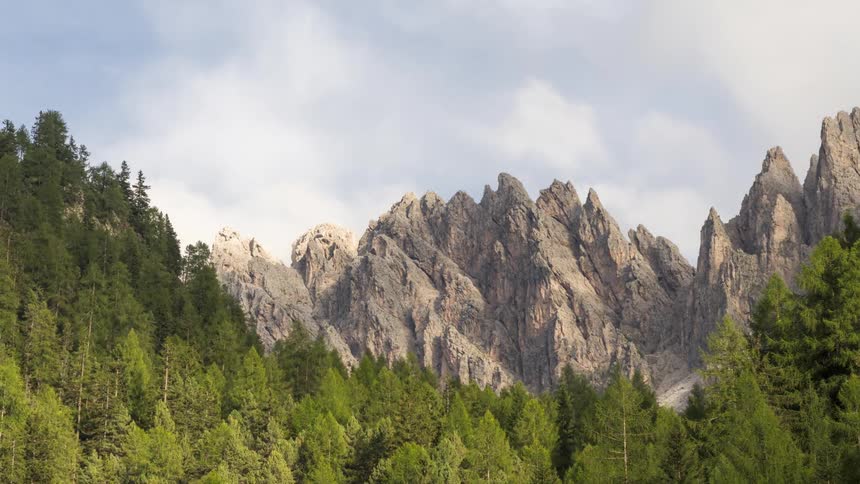 Mountain range with rocky peaks and greenish conifers in the foreground
