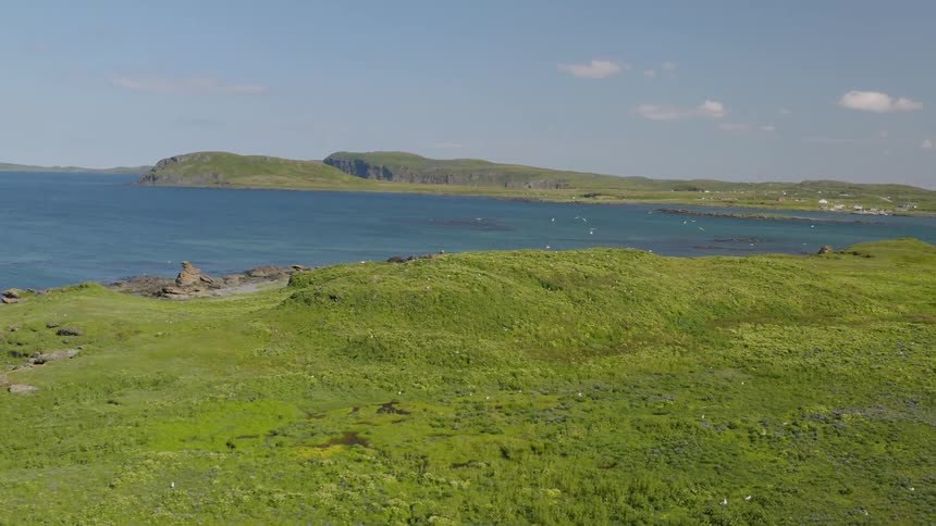 A large field of green grass next to a bay of water and some birds flying