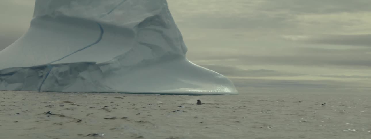 Large iceberg floating in a vast ocean under a cloudy sky and a whales fin on the surface