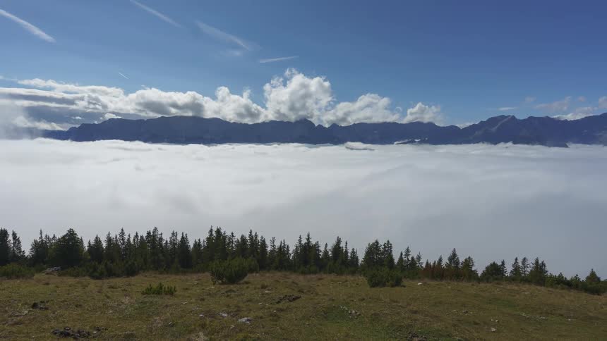 Clouds fill the area between mountains and the conifer forest near path