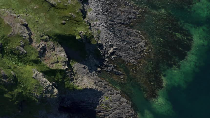 Birds fly over coastal area near green water during the day
