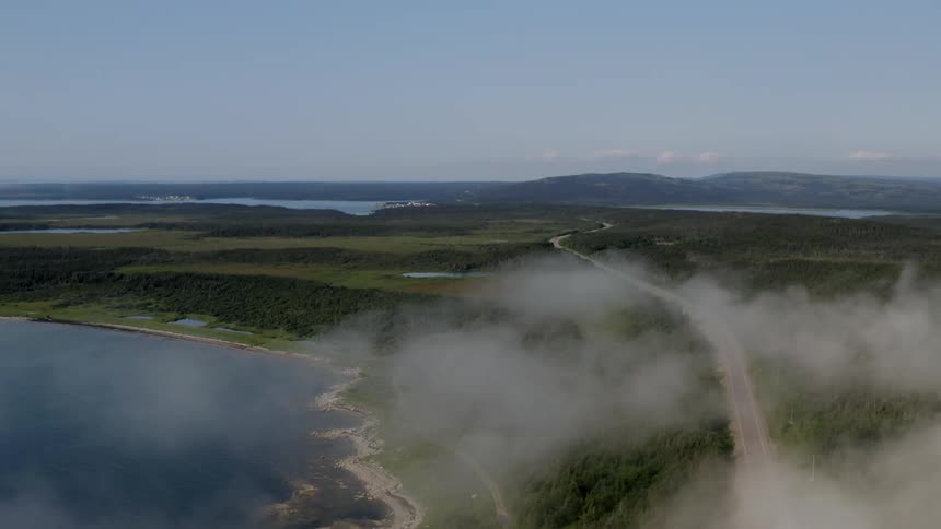 An aerial view of an asphalt road through dense forests and next to a sea