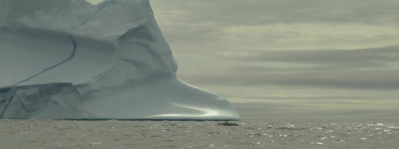 A whale splashes in the water near the iceberg