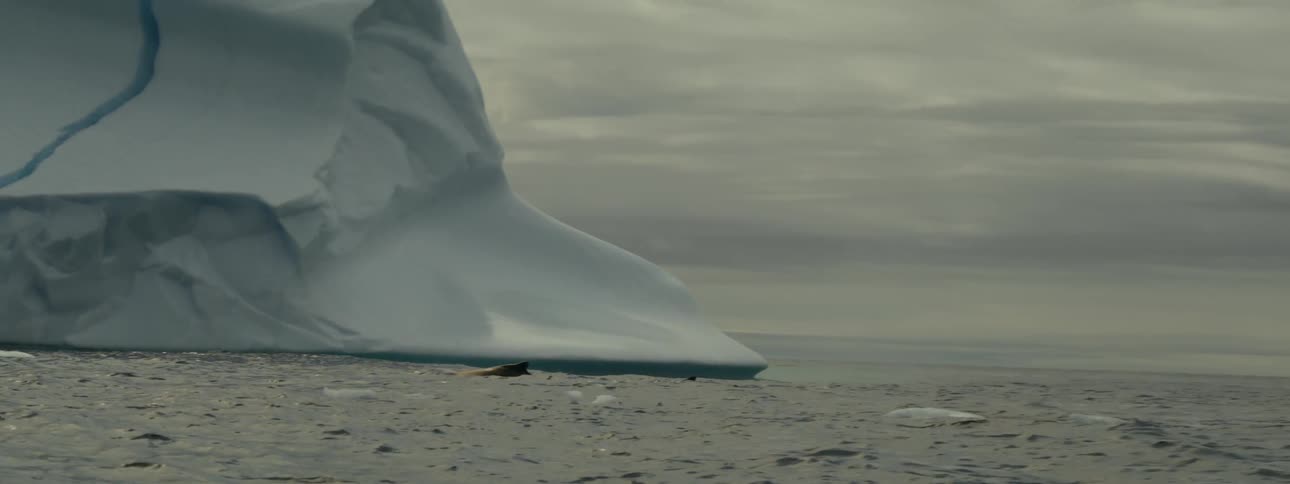 Vast body of water with a large iceberg on the left and a whale on the surface