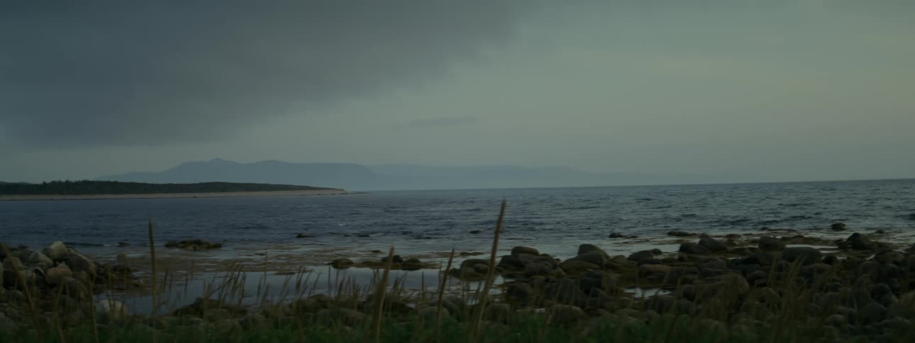 Landscape of a beach with the wooded coast on a cloudy day