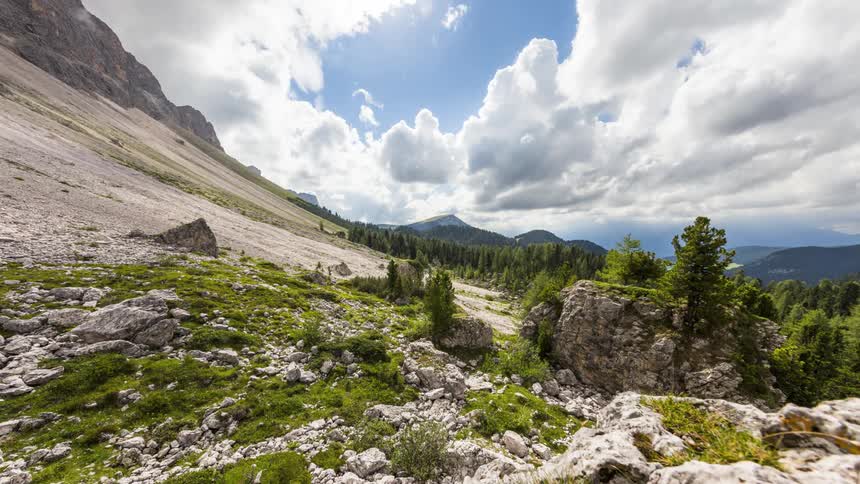 The slope of a mountain gives way to a deep forest