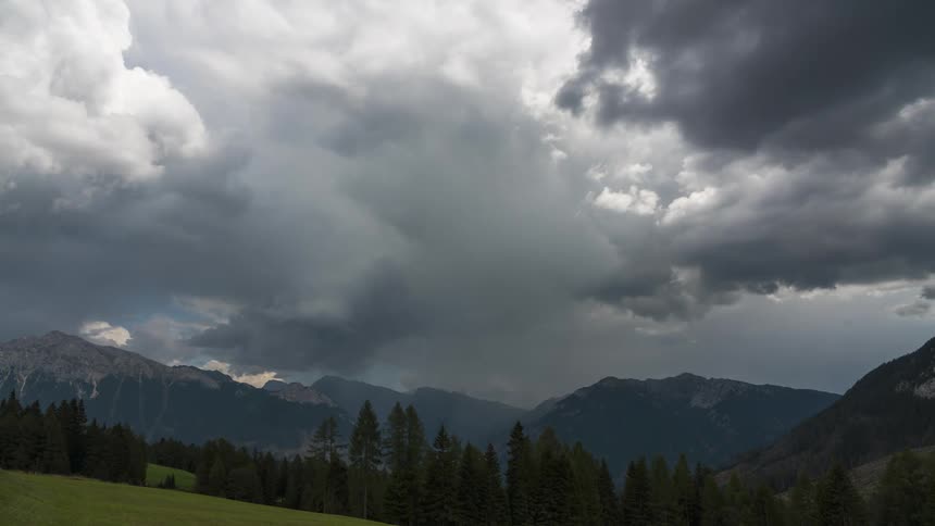 A landscape of a mountainous region and a pine forest in front and dense and gray clouds in the sky