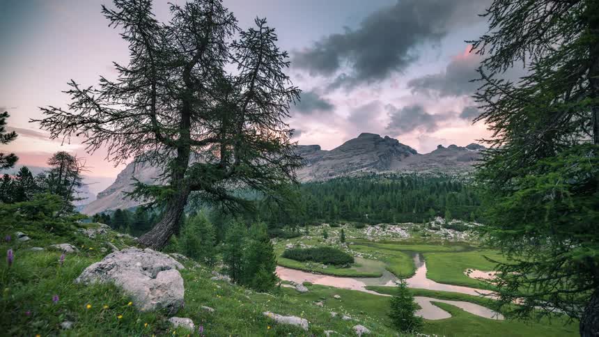 River passes conifer forest and mountains while winding through valley as night falls