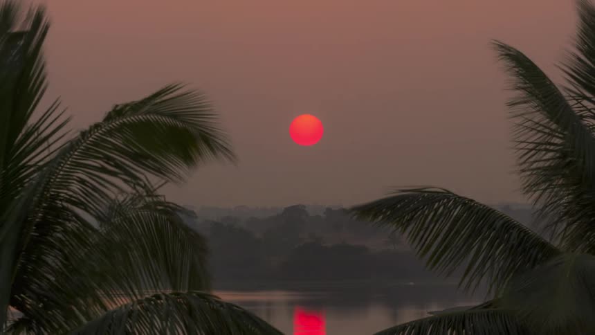 Sun setting with the sky in shades of orange and pink on the edge of a body of water and silhouettes of palm trees in the foreground