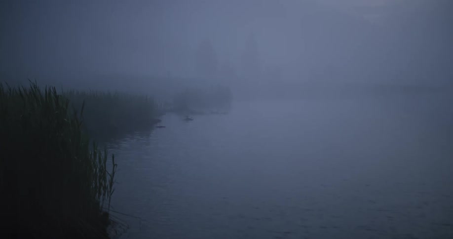 The edge of a lake that is very foggy and there is vegetation on the left side