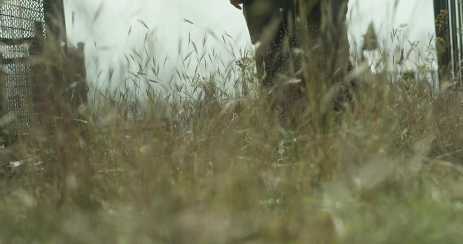 Legs of a person walking in an open field