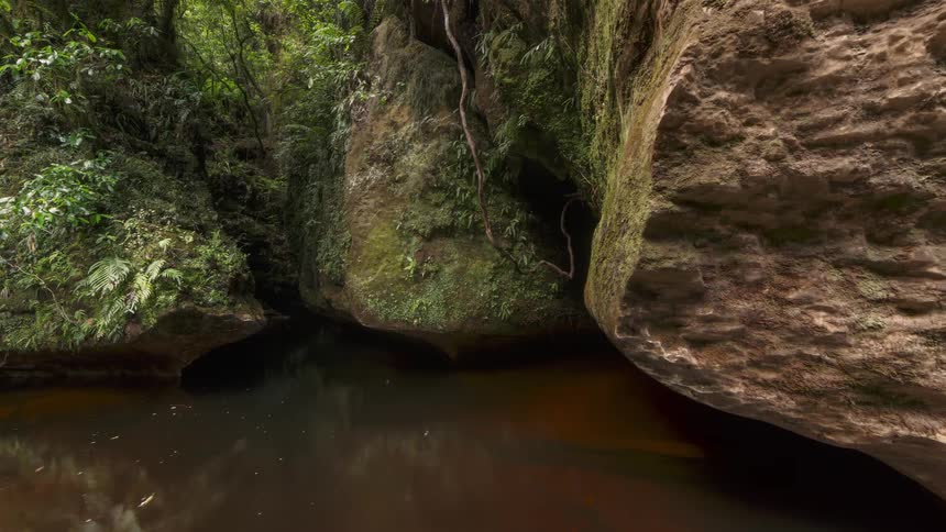 A small lake that comes out from under rocks that are covered in moss