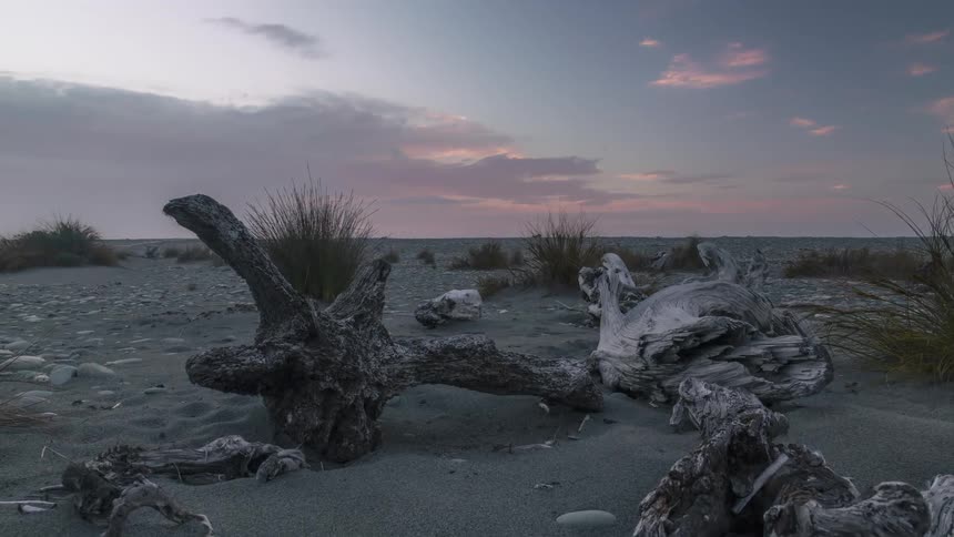 Natural landscape of fallen trees in the sand against a darkening sky