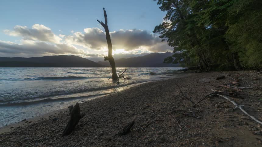 A beach with a dry tree in the water and everything is passing quickly