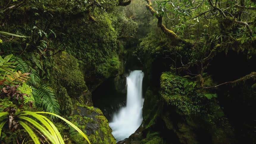 Waterfall foams while flowing down short drop in a thick forest