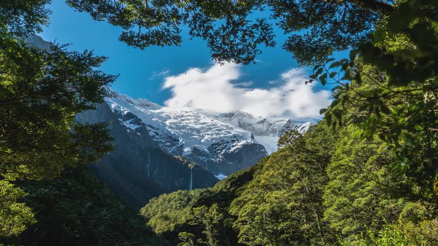A landscape of a snowcovered mountain at its top in a region with several green trees in front and white clouds moving in the sky