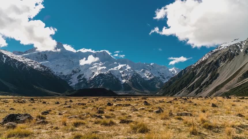 Arid vegetation landscape surrounded by snowcapped mountains