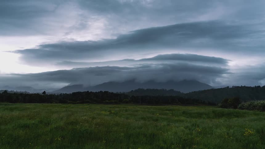 Vast green field with some yellow flowers under a cloudy sky