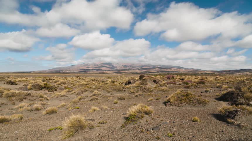Landscape of a desert soil with dry vegetation in a blue sky with clouds