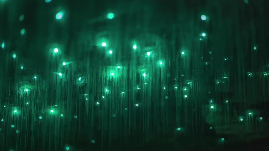 A multitude of green insect like bright lights moving on the ceiling of cave