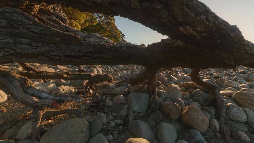 Natural landscape with a tree trunk lying on a bed of rounded stones by the sea