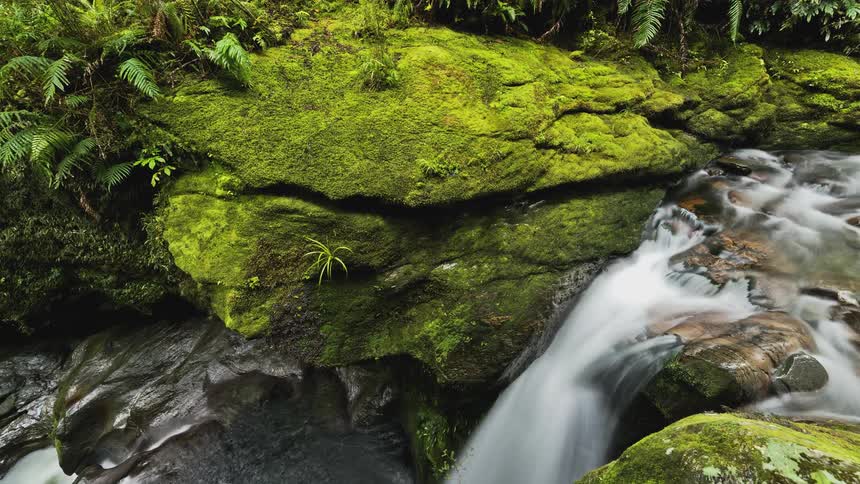 Flowing river amidst rocks on rocks in a forest with muscles