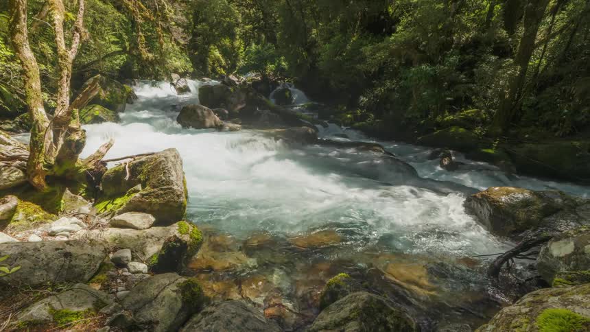 Time lapse of a river rushing through a vibrant forest scene