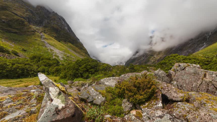 Mountainous landscape with low clouds touching the mountain peaks and undergrowth in the foreground