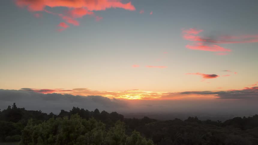 The sun is setting on the forest