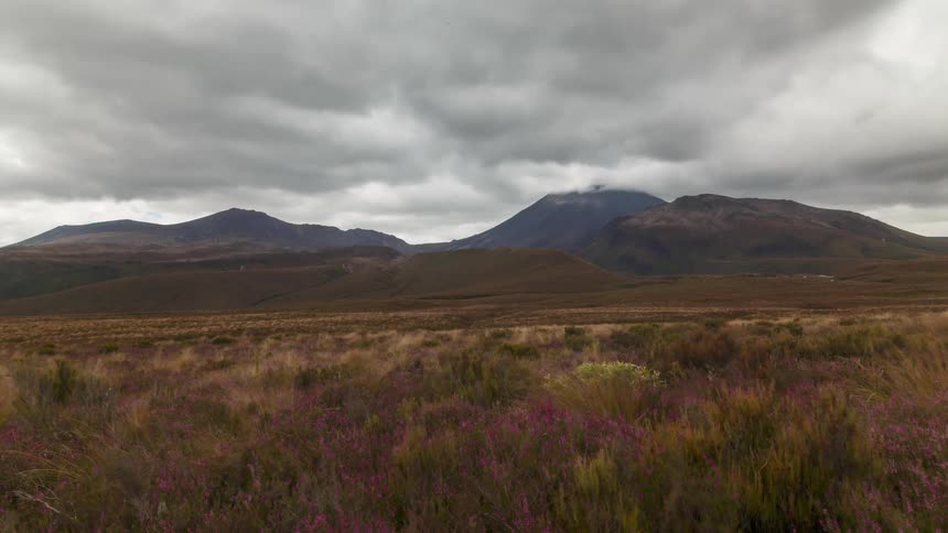 Vast field with mountains in the background on a cloudy day
