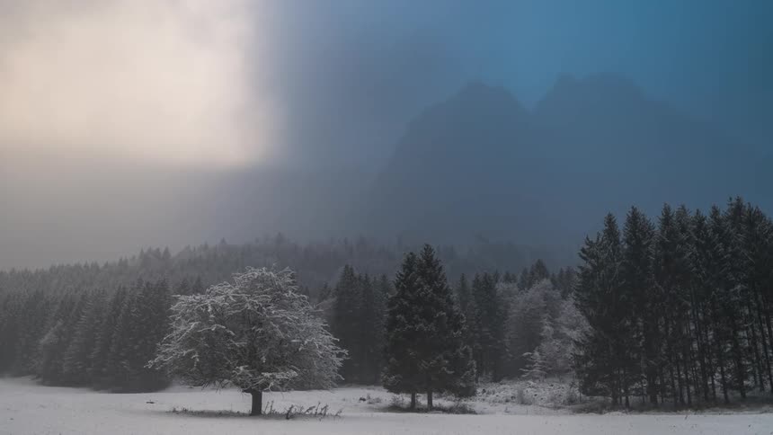 Mountains with snowy conifers and clouds passing by