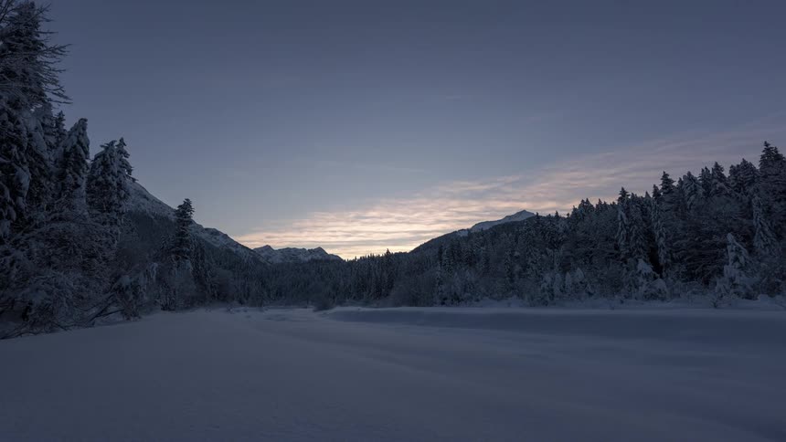 Night falls over frozen plain bordered by conifer forest during winter