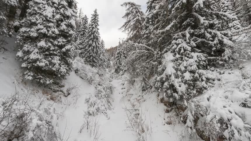 Clouds zoom over a forest covered in snow